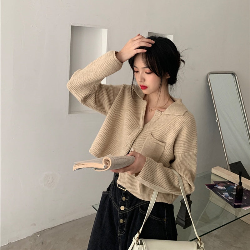 IELGY fashion Hong Kong style retro knitted sweater outer wear women's loose crop top