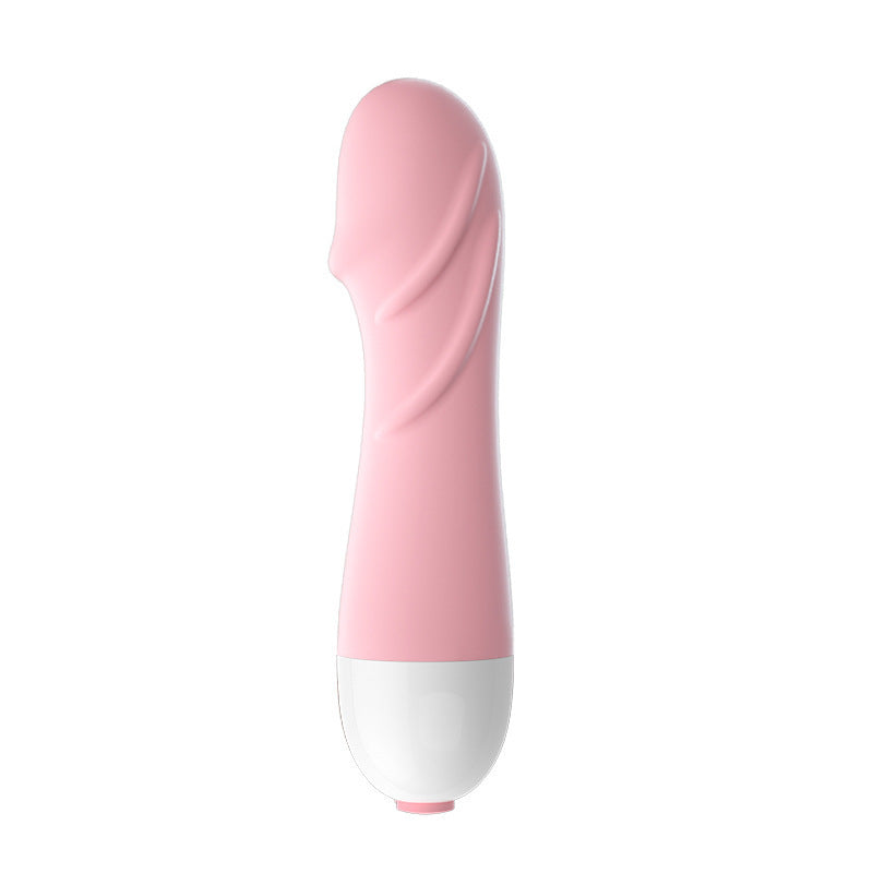 YOUTHAV Small turtle vibrator 10-stage frequency conversion mini portable bag waterproof female adult massage stick