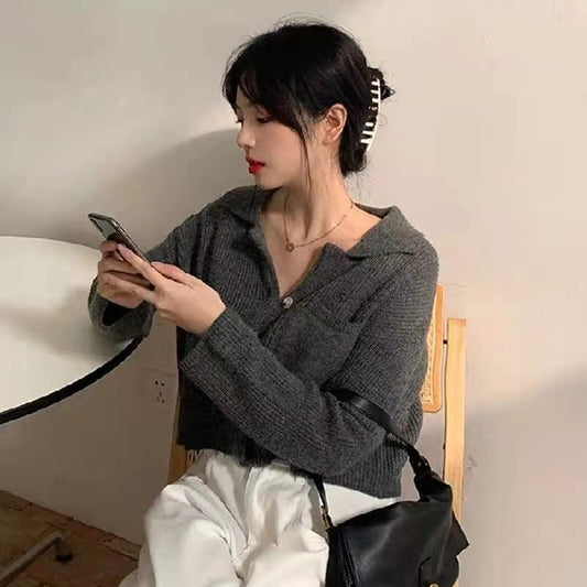 IELGY fashion Hong Kong style retro knitted sweater outer wear women's loose crop top