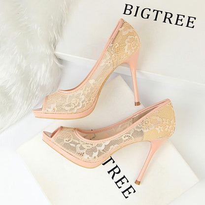 IELGY Fishbill High Heels Women's Shoes Sexy 9.5cm Stiletto Platform Mesh Hollow Lace